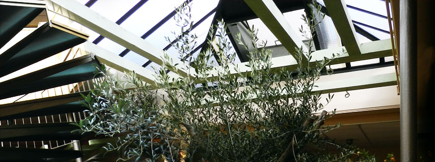 photo4